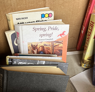 Boken Spring Pride spring