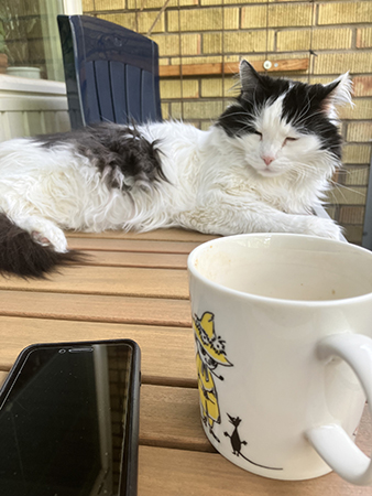 Förmiddagsfika på balkongen med sovande Lucifer på bordet