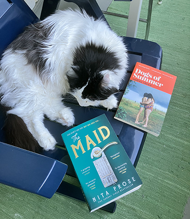 Lucifer och böckerna The Maid och Dogs of Summer