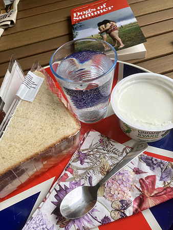 Mackor päronkvarg vatten boken Dogs of Summer