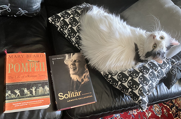 Citrus med böckerna Pompeii The Life of a Roman Town och Solitär