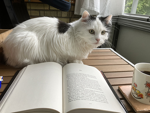 Citrus o min bok o Muminmugg på balkongbordet