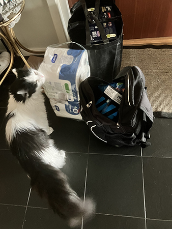 Lucifer med lördagshandlingen