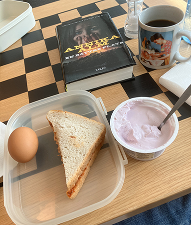 Lunch med ägg trekantsmackor och blåbärskvarg boken En bättre plats