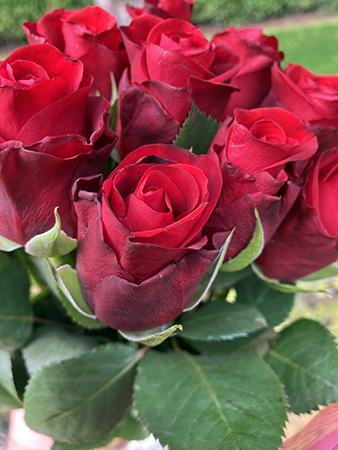 Röda rosor från Fina Blomsterrum