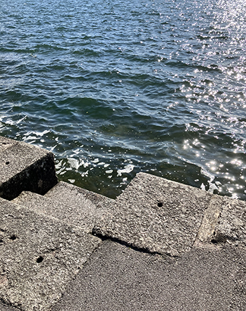 Trappa ner till sjön