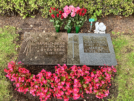 Graven i Motala med isbegonior och rosor