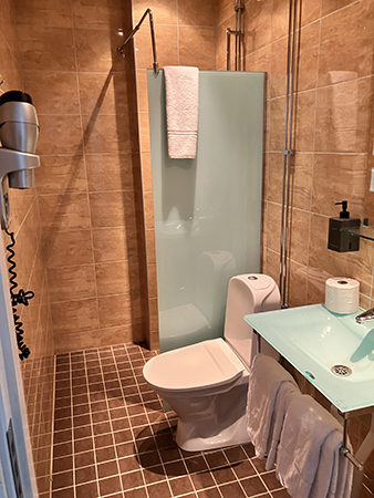 Toa och duschen på hotellet