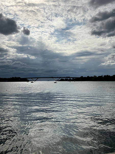 Brona och sjön med mörka moln