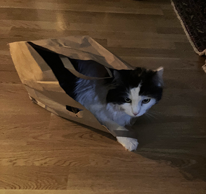 Lucifer i papperspåse