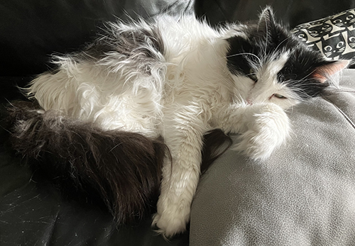 Lucifer slaggar i soffan