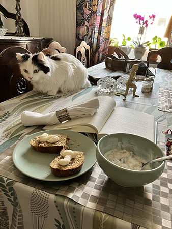 Citrus och jag äter lunch