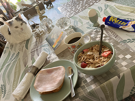 Citrus på frukostbordet