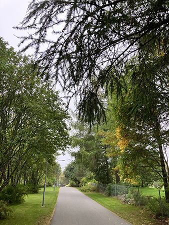 Promenad på Rosengången till läkarmottagningen