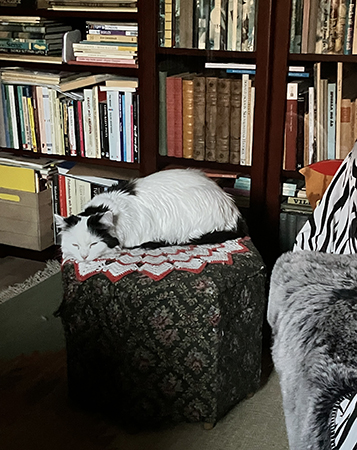 Citrus på farmors sypall