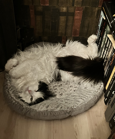 Lucifer i korgen i Bokrummet