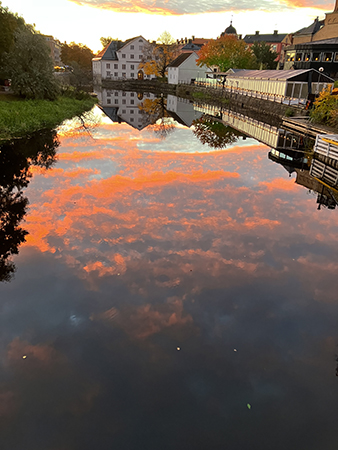 Rosa himmel i Fyrisån Upplandsmuseet