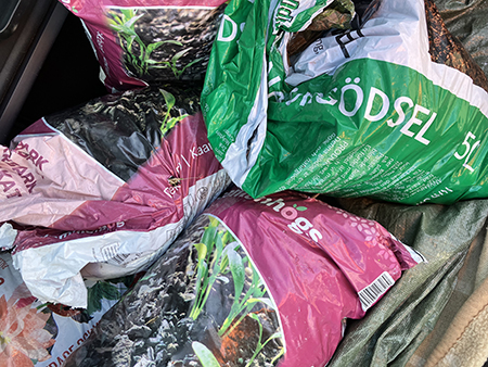 Säckar med trädgårdsavfall i bagaget på bilen