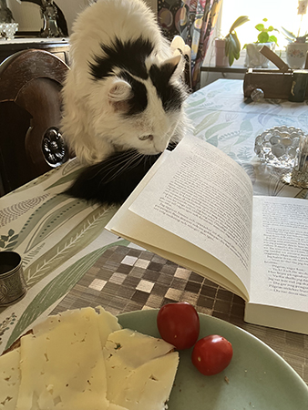 Citrus övervakar frukost och läsning