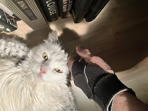 Citrus i korgen i Bokrummet får gos