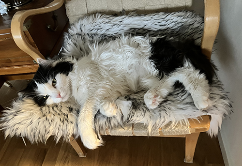 Lucifer hänger i Bruno Mathssonfåtöllj