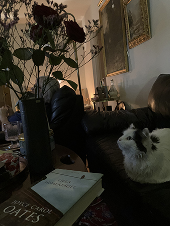 Citrus tittar på rosorna jag gav Anna