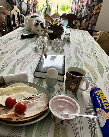 Hemmalunch med Citrus och blänkande bok