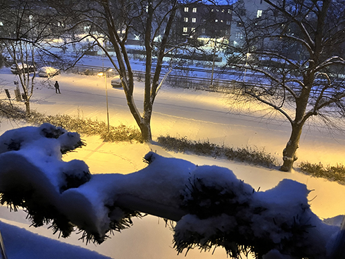 Vintermorgon 25 nov 2023 parkeringen Österplan en människa