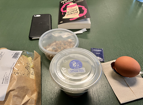 Jobblunch med laktosfri yoghurt och boken Den store konstnären