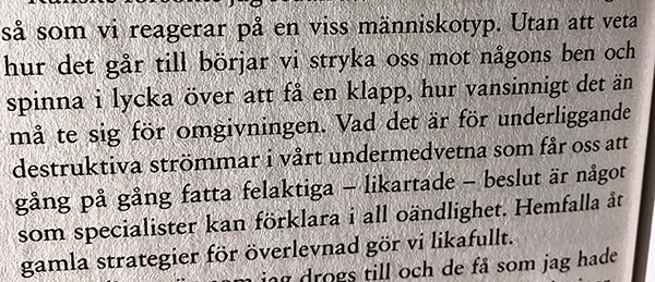 Citat ur Den sårade pianisten