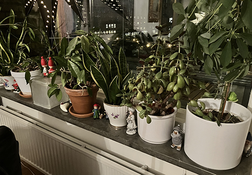 Julfigurer på fönsterbrädan i Salen