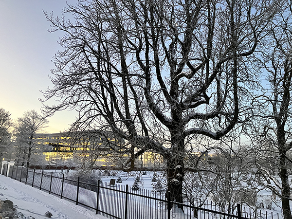 Segerstedthuset bakom Barockträdgården vinter