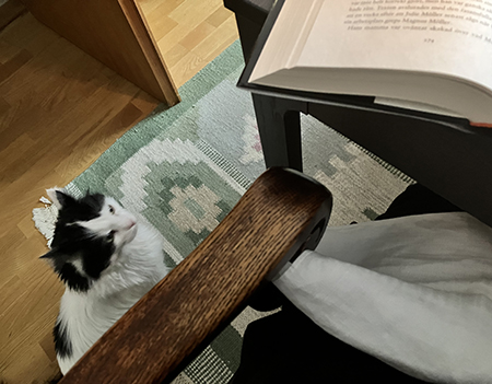 Lucifer nedanför matbordet och ett bokuppslag