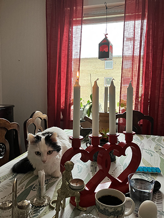 Första adventfrukost med Citrus