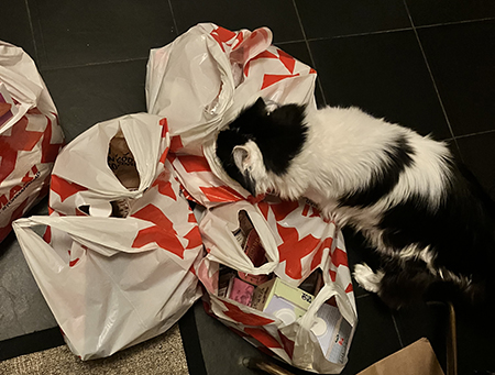 Lucifer på väg ner i matkasse