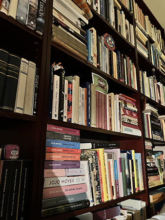 Böcker till vänster om sängen i Bokrummet