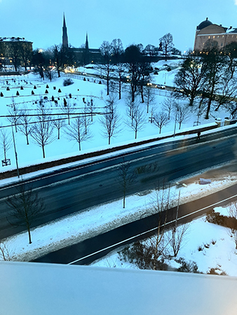 Utsikt från jobbfönstret regnig januarimorgon
