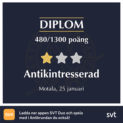 Diplom antikintresserad i Motala 25 januari 2024