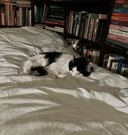 Lucifer ligger ner på sängen i Bokrummet