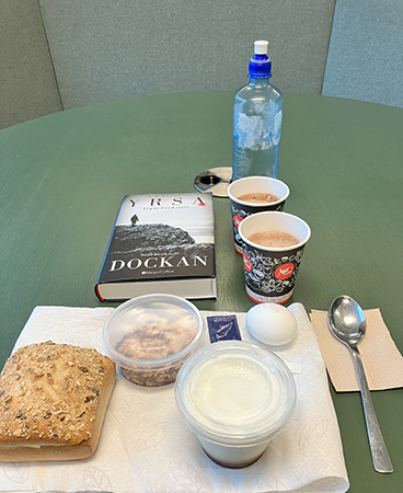 Jobblunch med boken Dockan