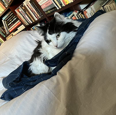 Lucifer på sin filt på min säng