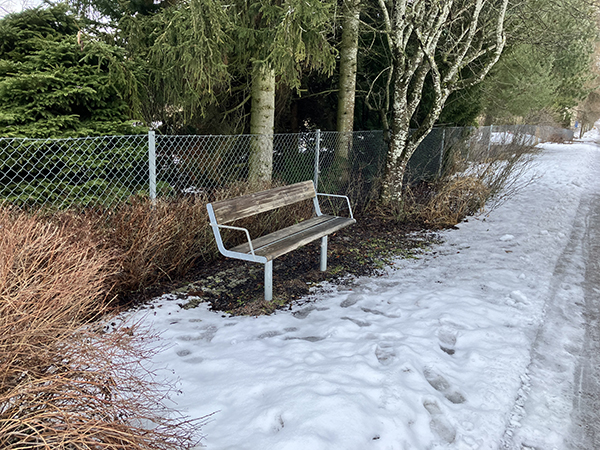 Bänk med snö runtomkring