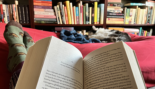 Jag läser och Lucifer sover på min säng