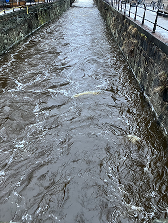 Fyrisån 20 februari 2024