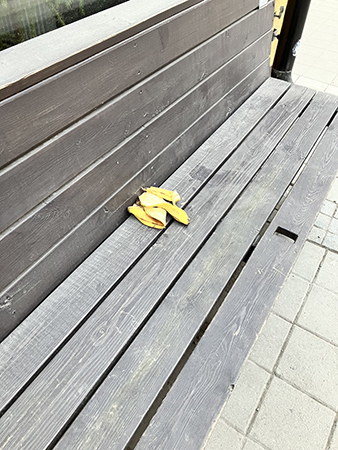 Bananskal på soffa utomhus