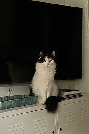 Lucifer på TVbänken