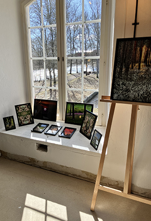 Fönsterkonst av Eva Hallor i Ulva