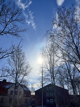 Ljus himmel och lite solig marsförmiddag