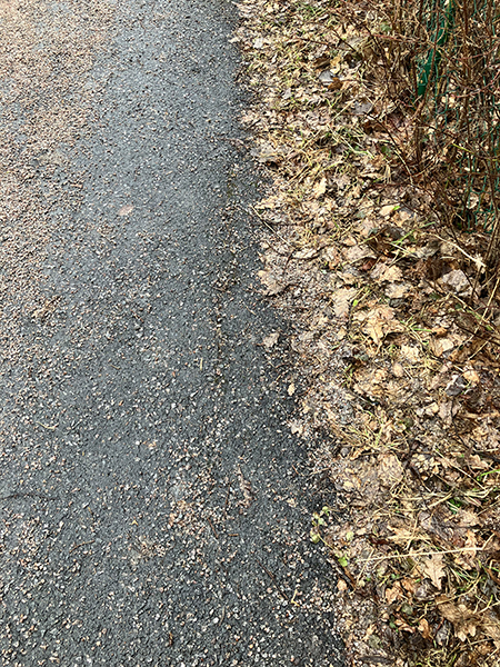 Grus och löv på gångvägen tillbaka till jobbet från huslälkarmottagningen