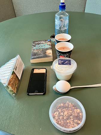 Jobblunch med runda byttor en trekantig o boken Offermossen